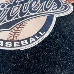 Polymer Floor Art and Logos
